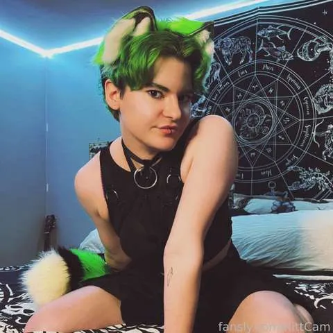 @KittCam