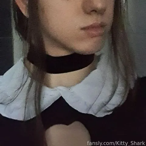 @Kitty_Shark