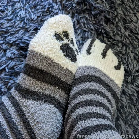 @kittykatzpaws