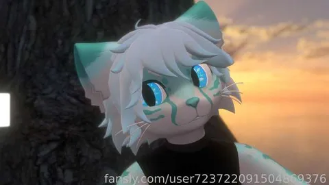 @KotaKitty