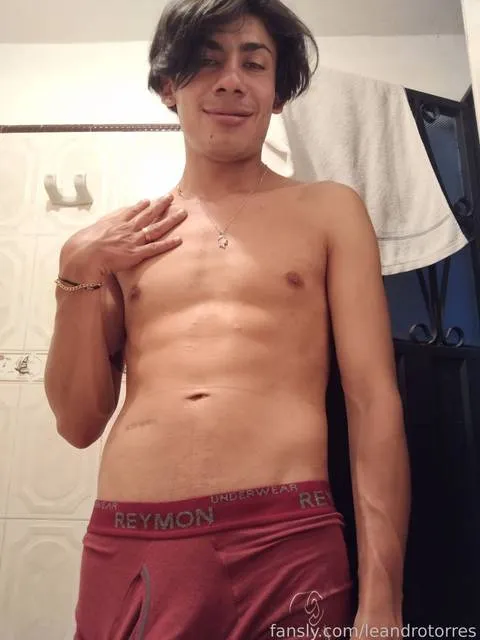 @leandrotorres