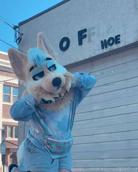 @LeashedBoyDog