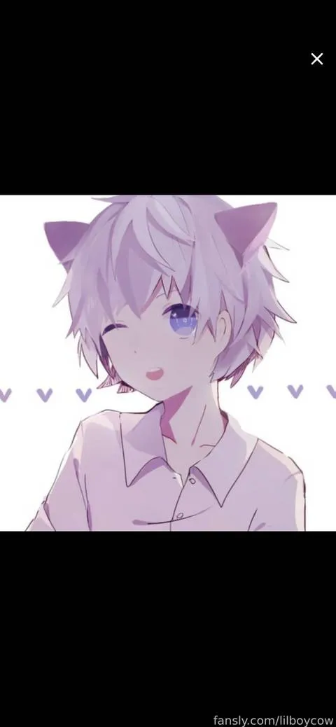 @lilboycow