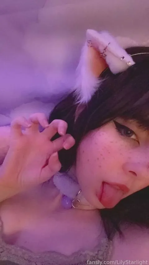 @LilyStarlight