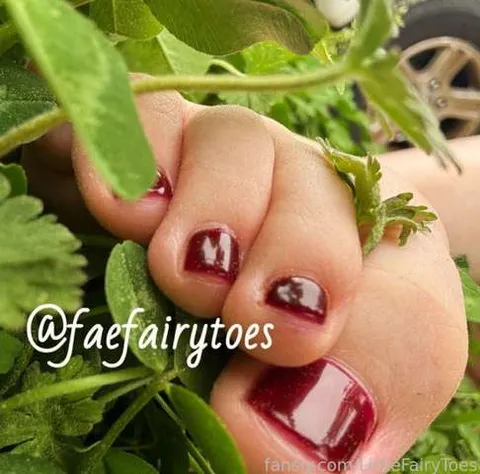 @LittleFairyToes