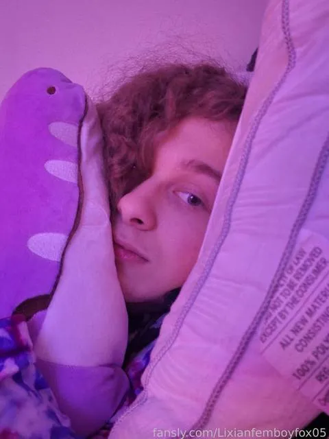 @Lixianfemboyfox05