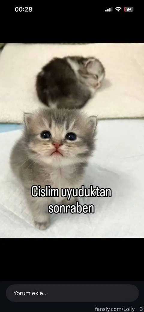 @Lolly__3