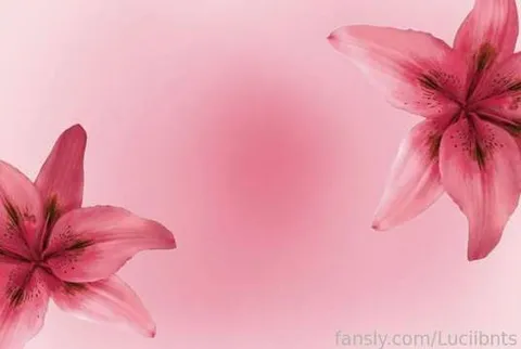 @Luciibnts