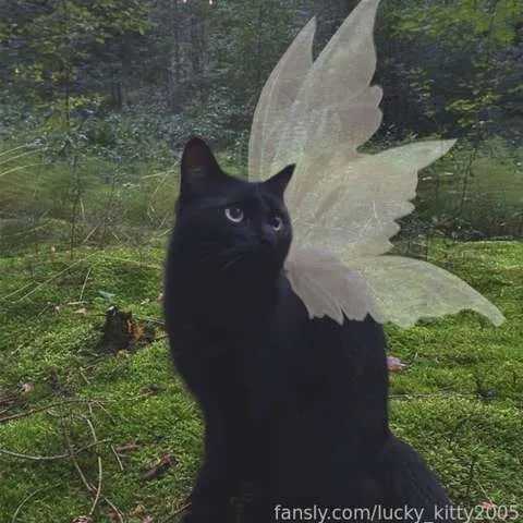 @Lucky_kitty7
