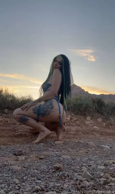 @lvvenderx