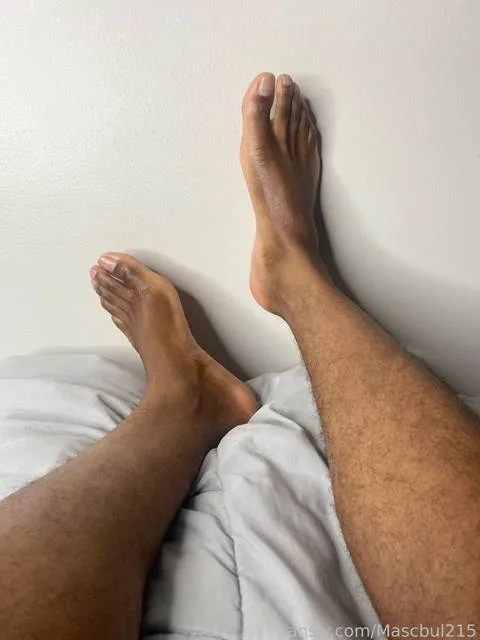 @Mascbul215