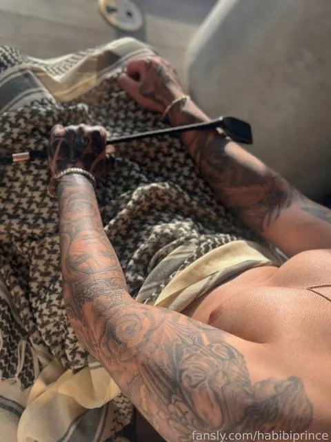 @masterhabibi_
