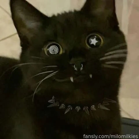 @milomilkies
