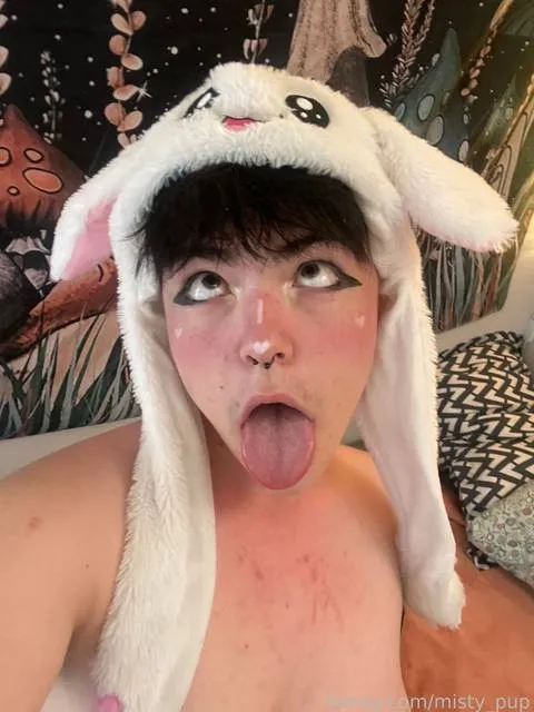 @misty_pup