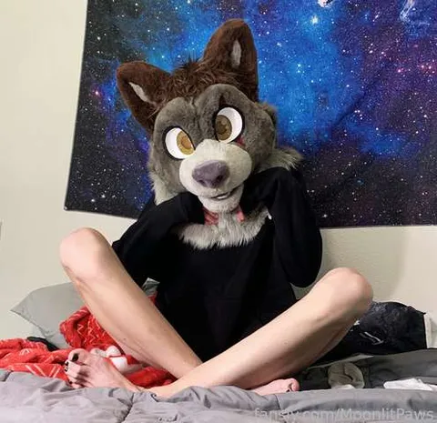 @MoonlitPaws