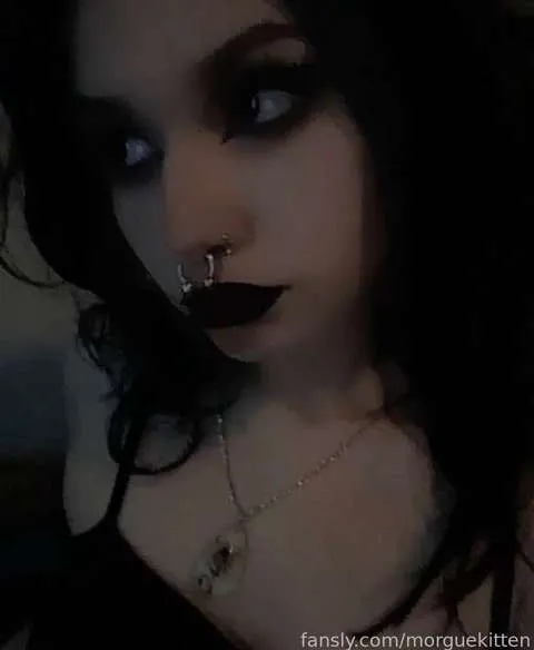 @morguekitten