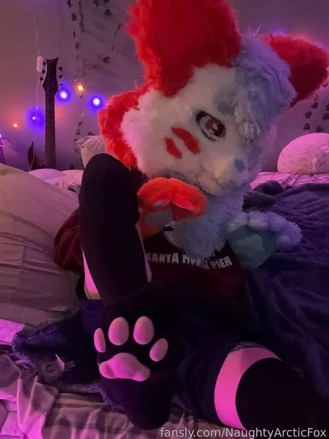 @NaughtyArcticFox