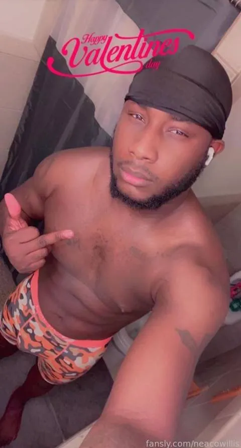 @neacowillis