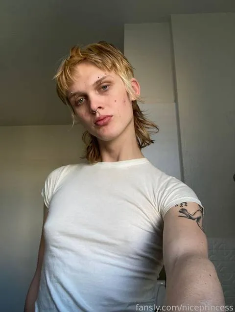 @niceprincess