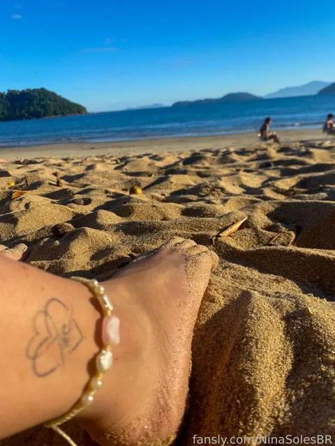 @NinaSolesBR