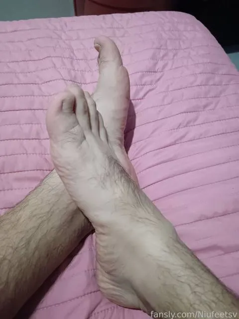 @Niufeetsv