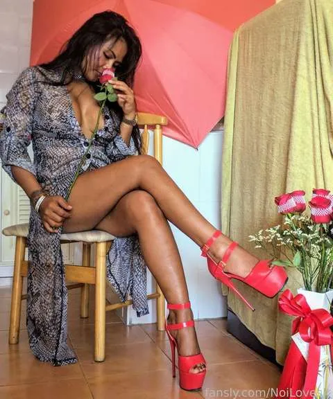 @NoiLovesIt