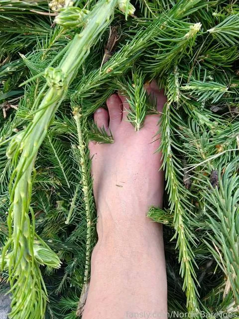 @NordicBareToes