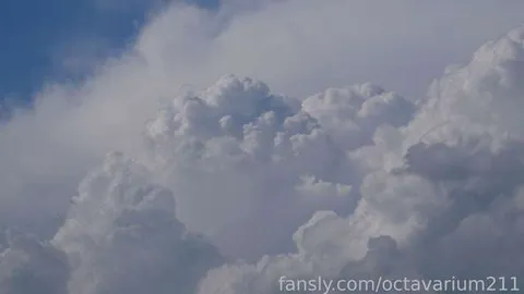 @octavarium211