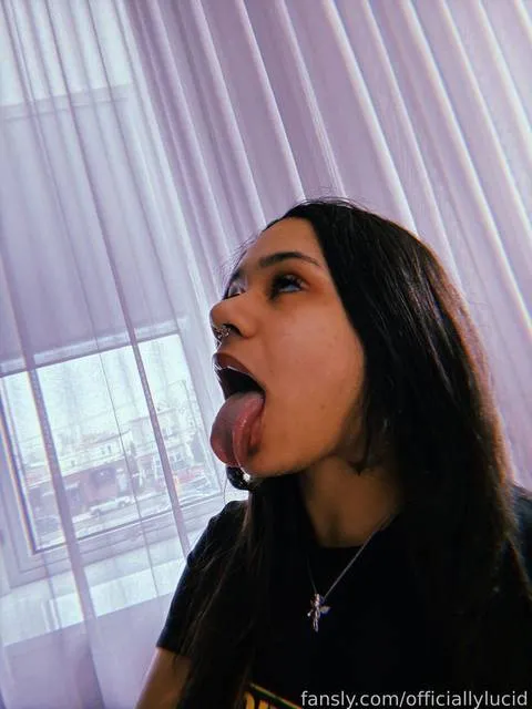 @officiallylucid
