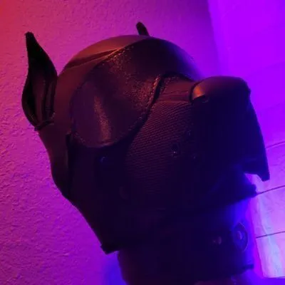 @OneStretchyPup