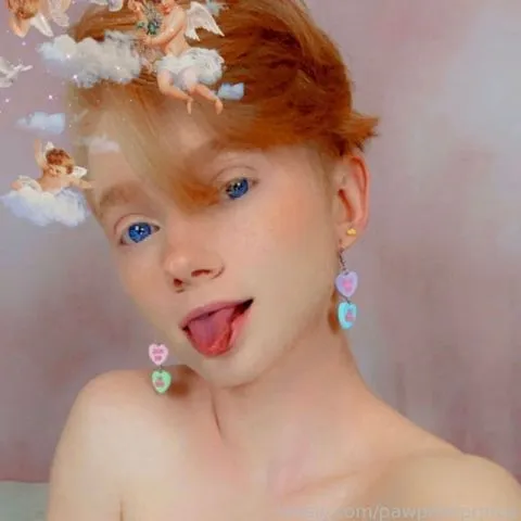 @pawprintprince