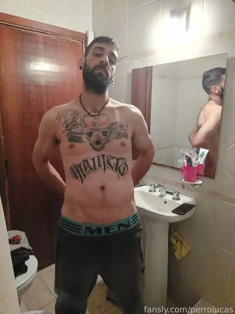 @perrolucas