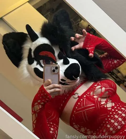 @pounderpuppyy