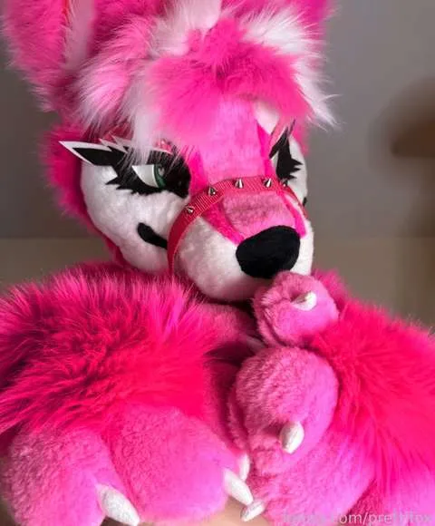 @prettifox