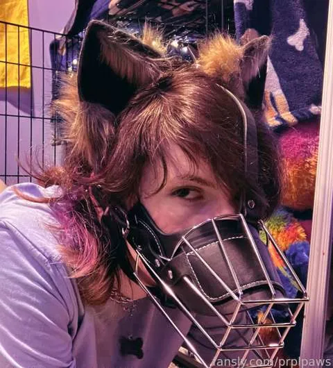 @prplpaws
