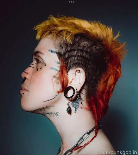 @punkgoblin