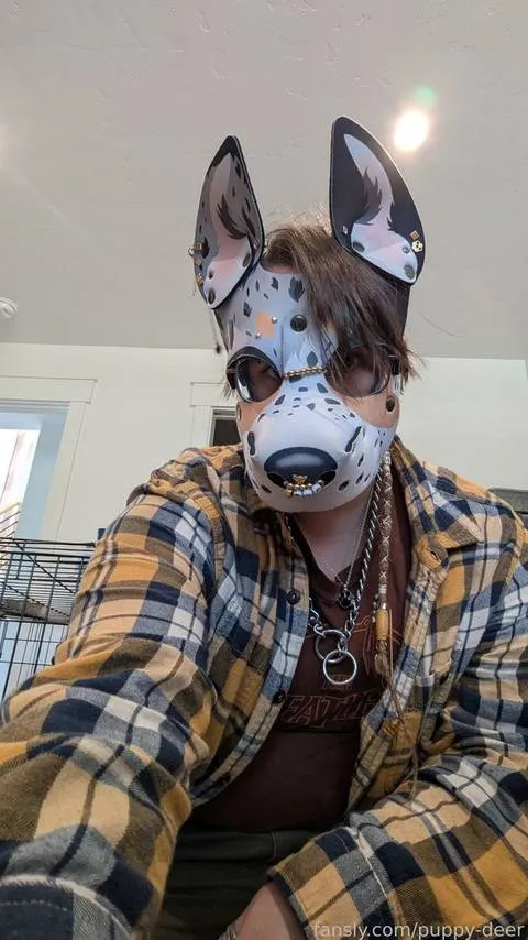 @pup-atlas