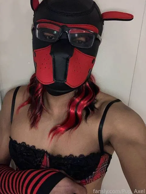 @Pup_Axel