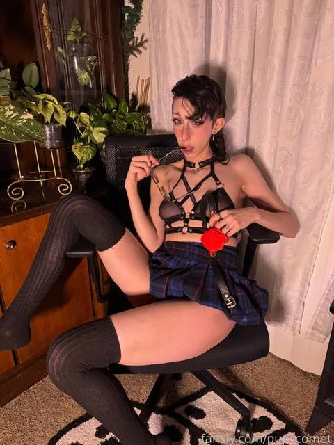 @pup_comet