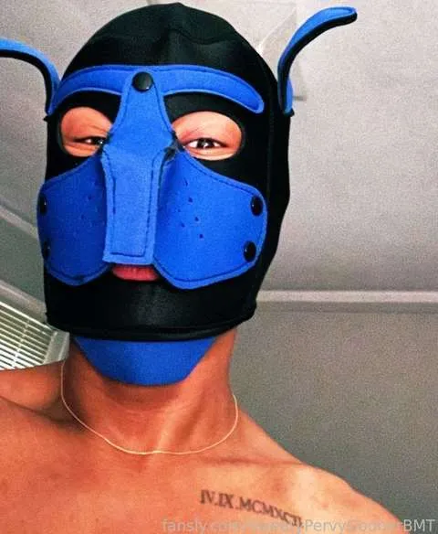 @PupBMTgoons