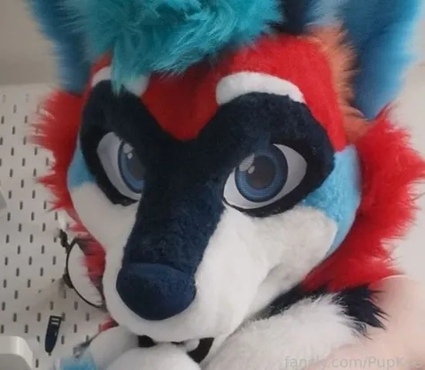 @PupKye