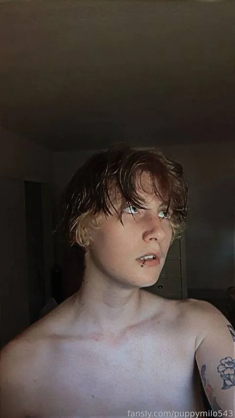 @puppymilo543