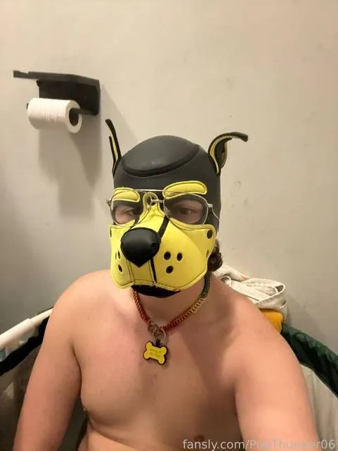@PupThunder06