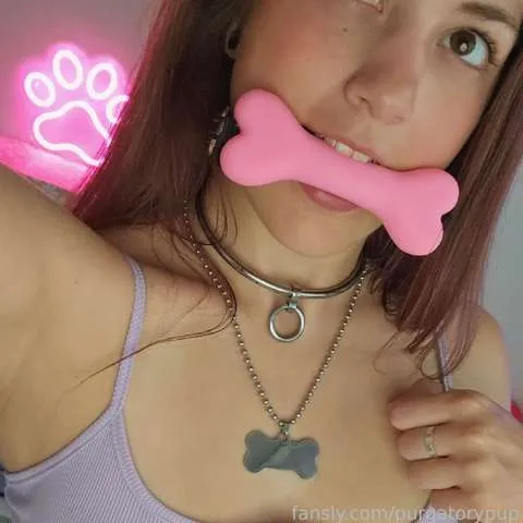 @purgatorypup