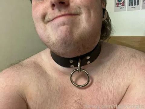 @ripleyknight