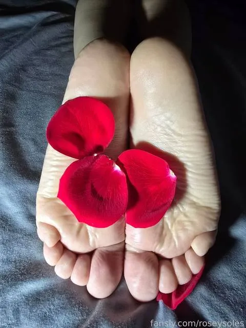 @roseysoles