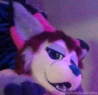 @ScarletJFox
