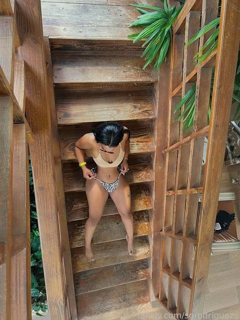 @sgrodriguezs