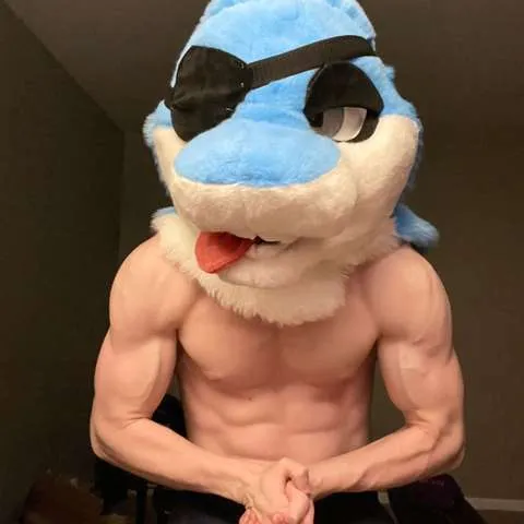 @SharkChocolate