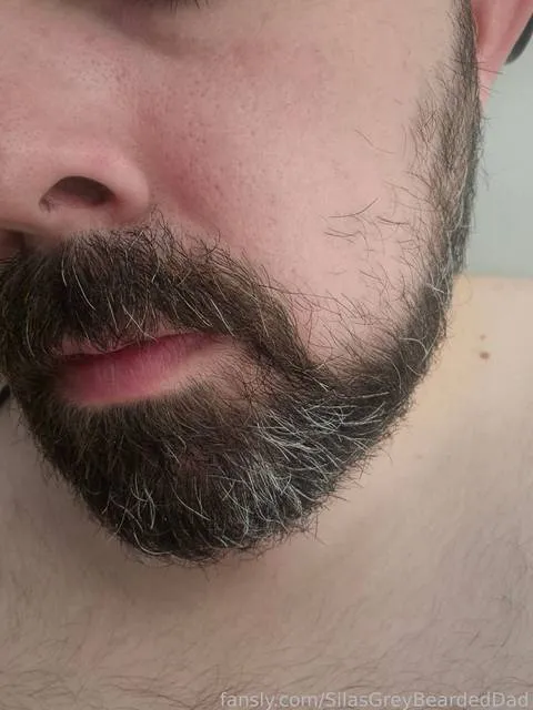 @SilasGreyBeardedDad